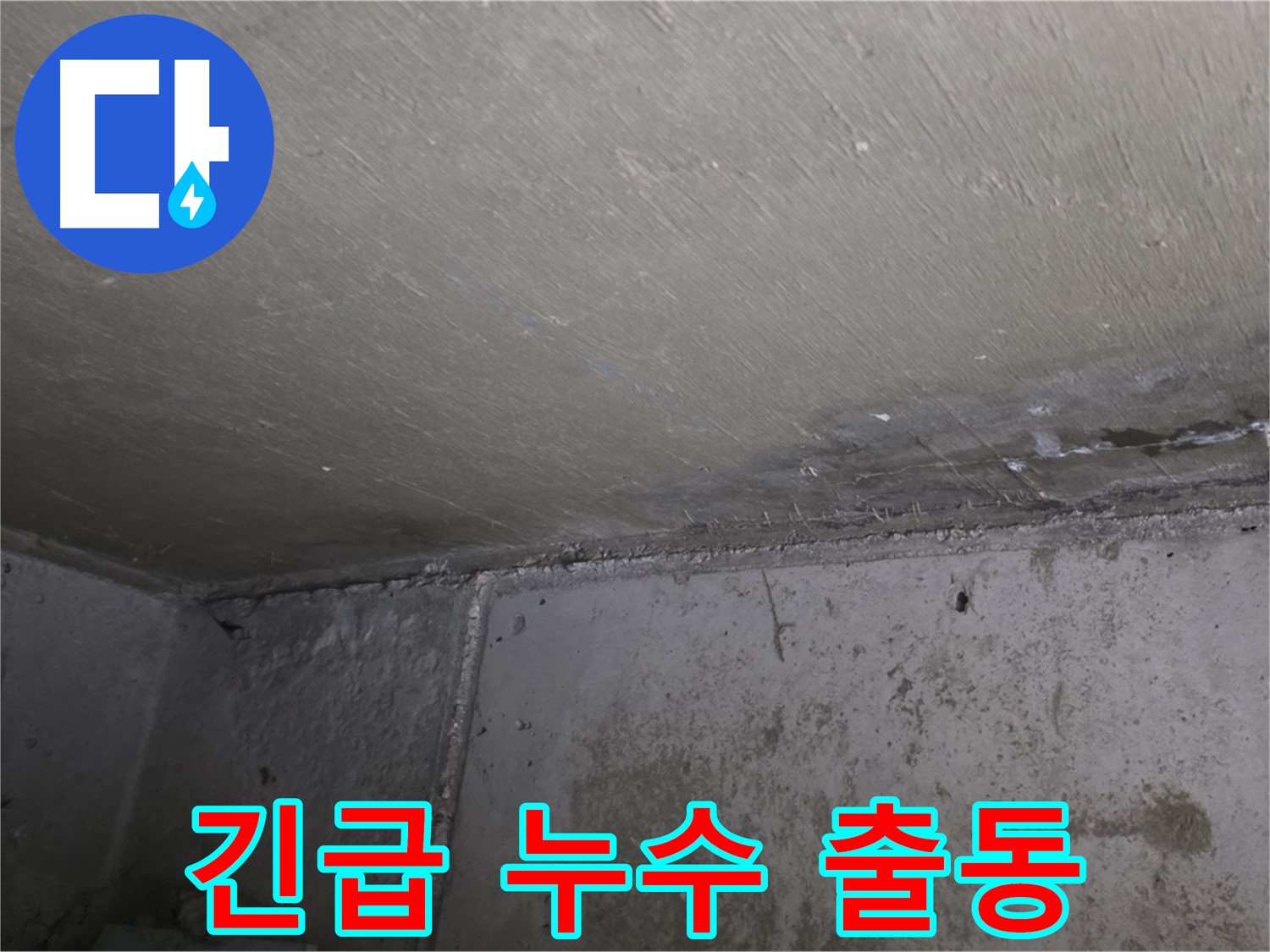 남양주 오남 누수 긴급 출동 - 벽 곰팡이 문제 해결