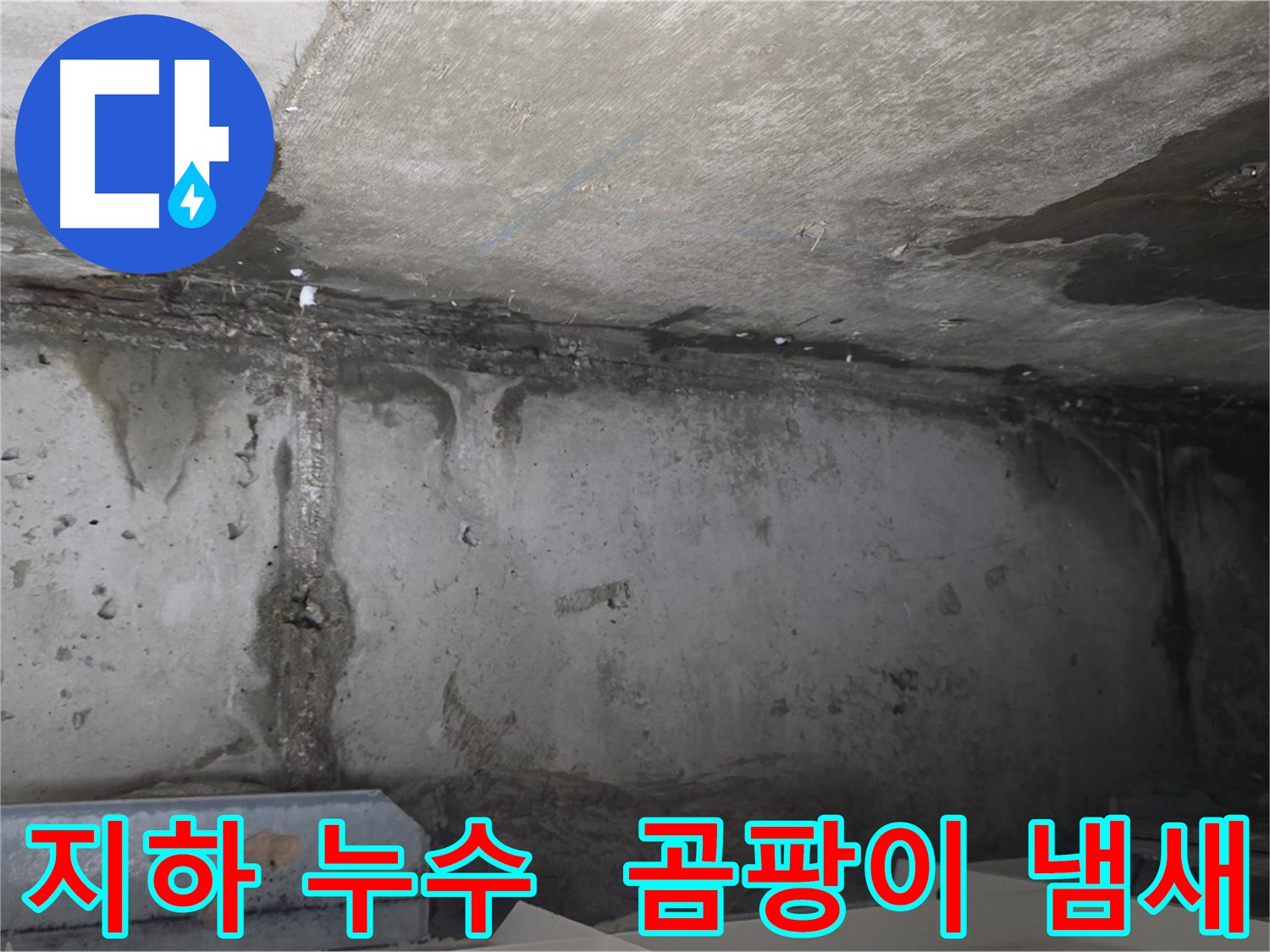 남양주 오남 두산 지하 누수 - 곰팡이 냄새