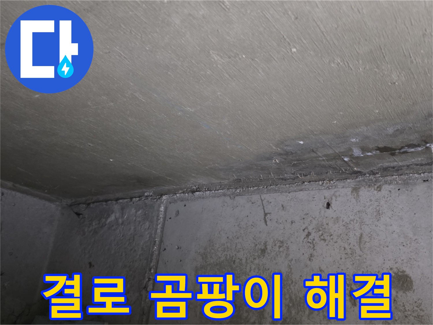 남양주 오남리 두산아파트 결로 - 곰팡이 해결