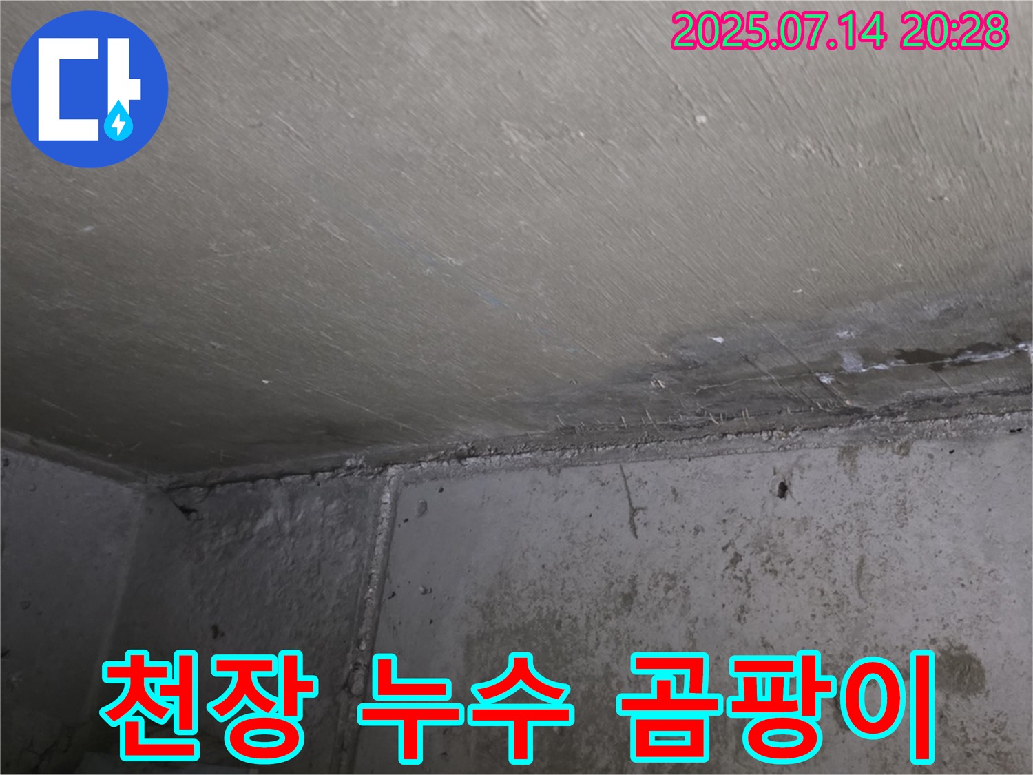 남양주 오남리 두산아파트 천장 누수 - 곰팡이 제거 및 누수 탐지 전문 업체의 해결 과정