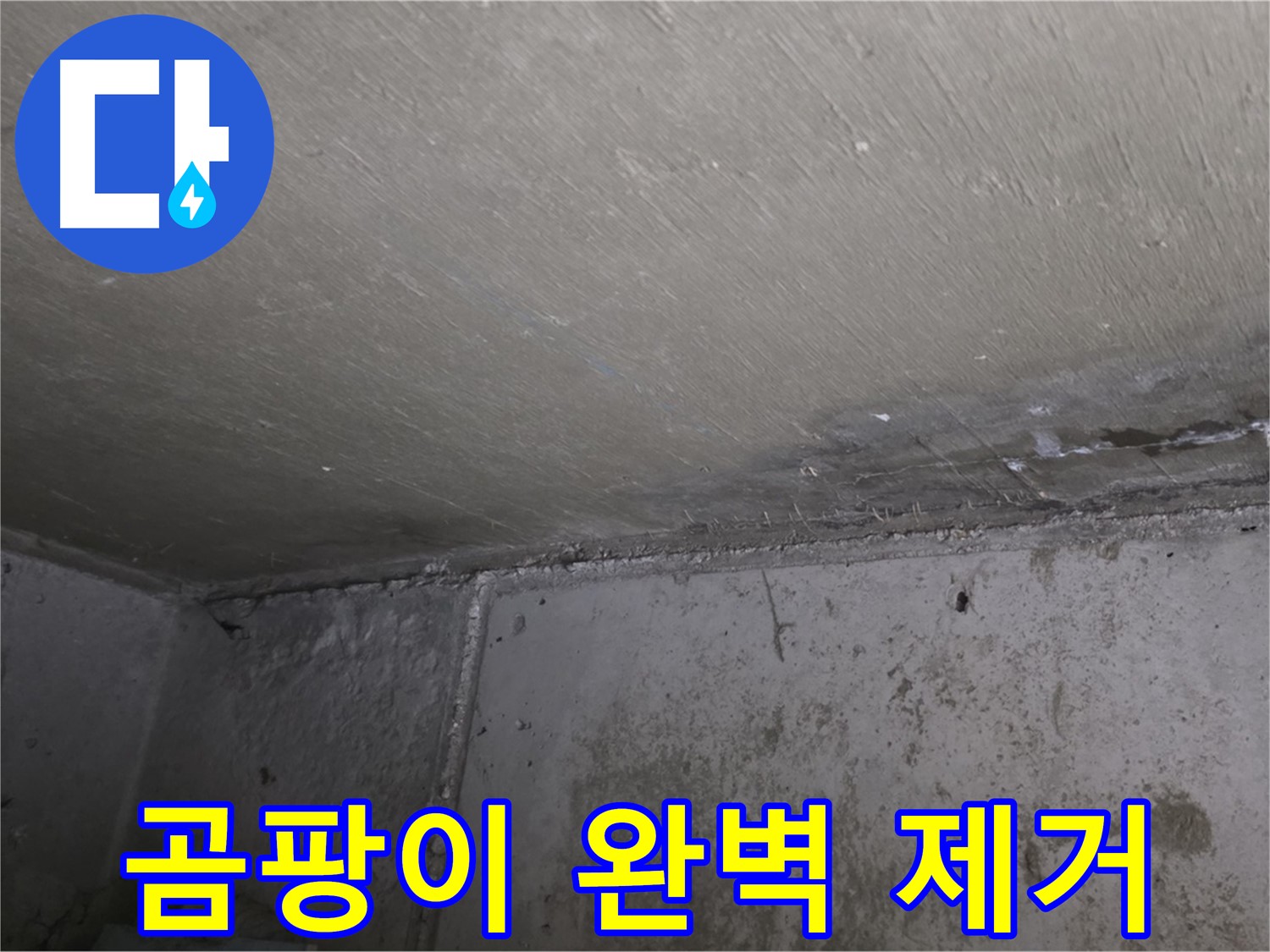 남양주 오남읍 두산아파트 베란다 누수 - 곰팡이 완벽 제거