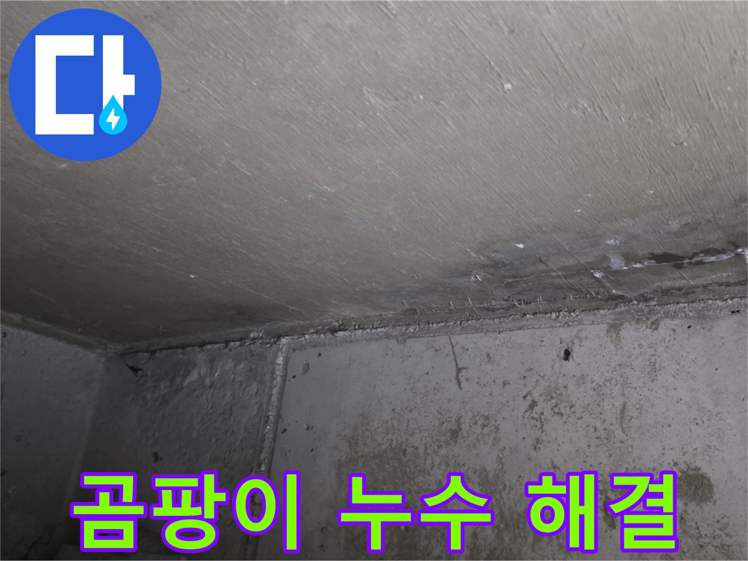 남양주 오남읍 두산아파트 천장 곰팡이 - 실내 공기 오염