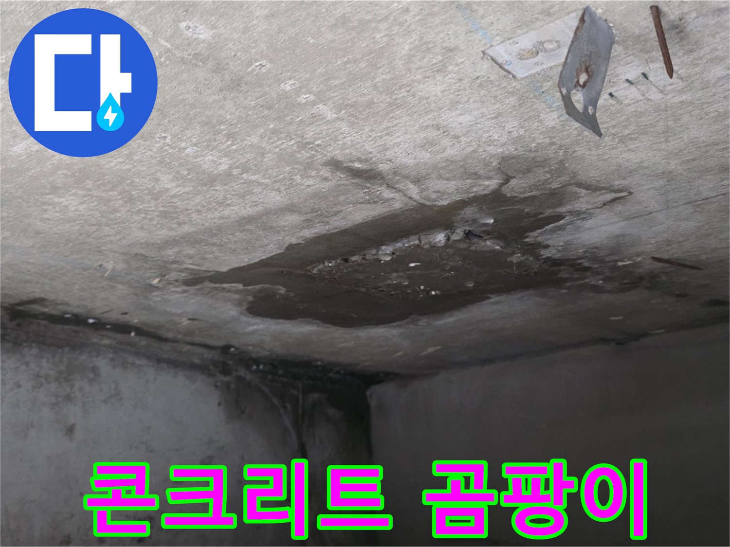 콘크리트에 핀 곰팡이 - 남양주 오남 아파트 누수