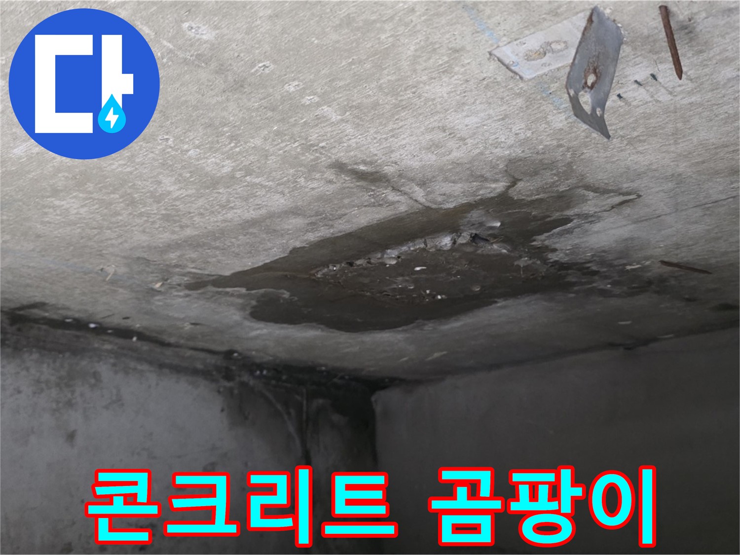 콘크리트에 핀 곰팡이 - 남양주 오남 아파트 누수
