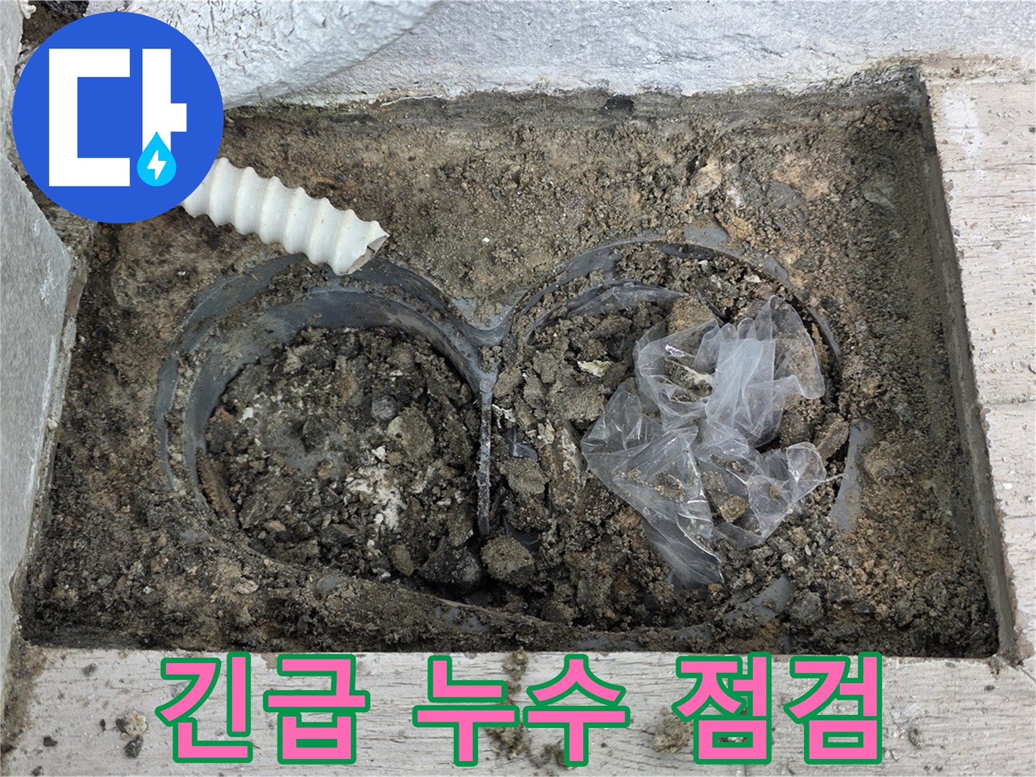 노원구 중계동 청구3차 아파트에서 우수관 주변 누수 긴급 점검을 진행하고 있습니다 - 신속한 점검으로 피해 최소화!