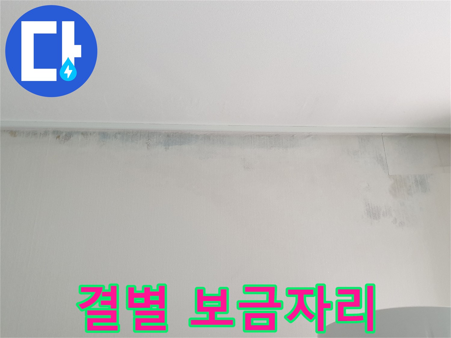 중계동 아파트 곰팡이 - 결별 쾌적한 보금자리