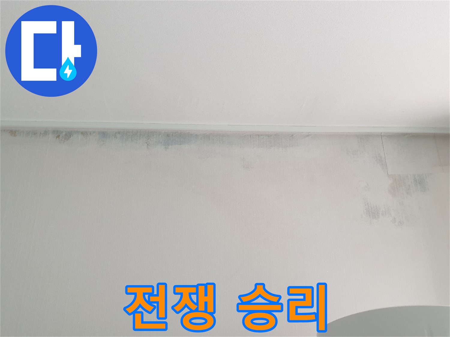 중계동 아파트 곰팡이 - 곰팡이와의 전쟁 완벽 승리