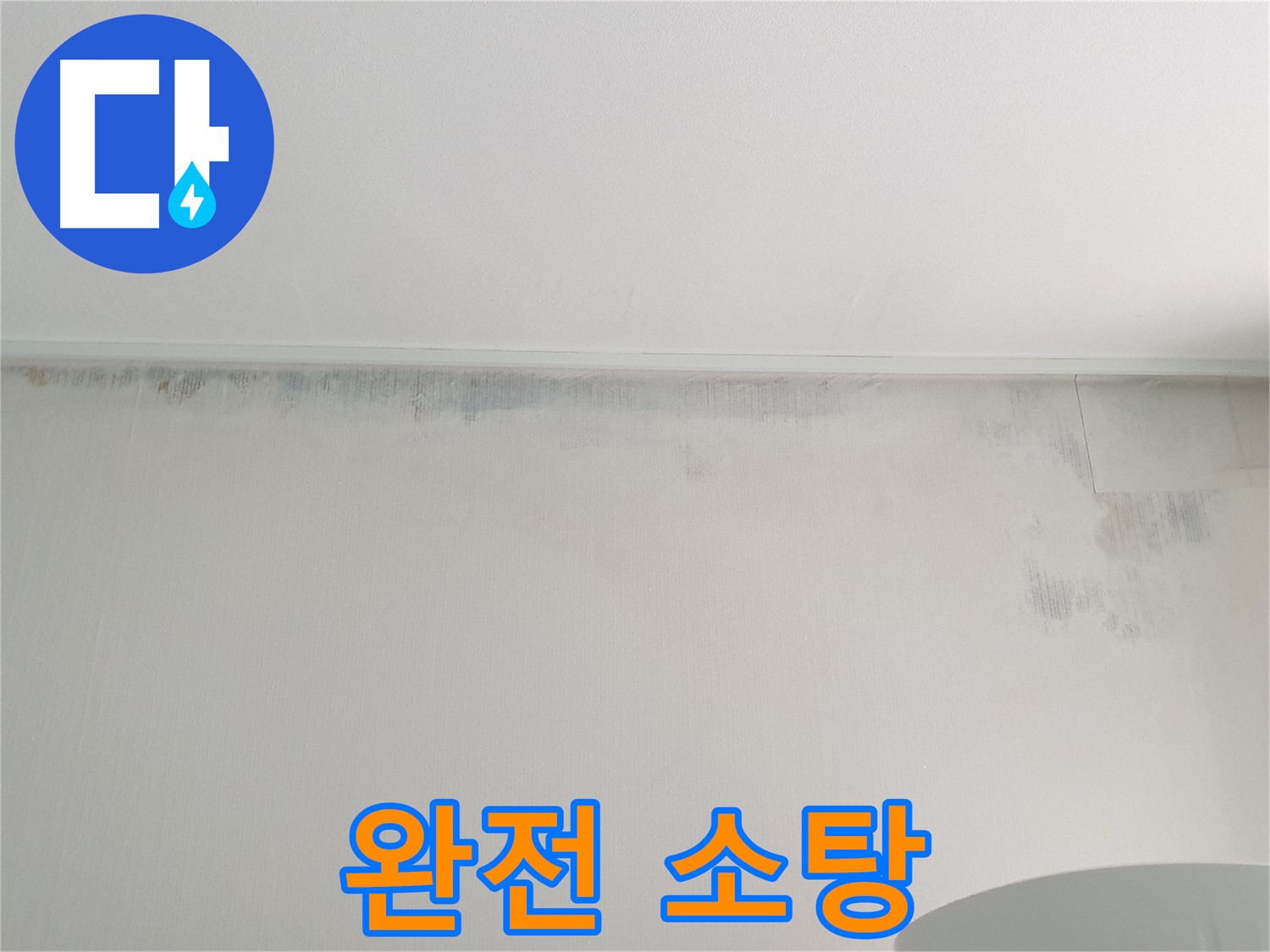 중계동 청구3차 곰팡이 - 곰팡이 완전 소탕