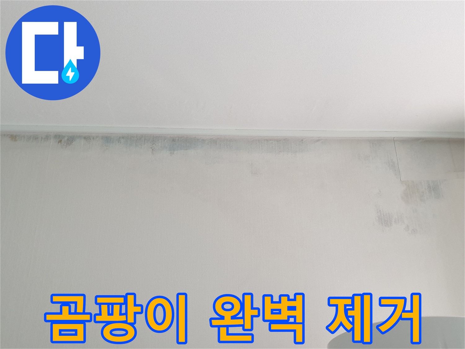 중계동 청구3차 아파트 곰팡이 누수 - 곰팡이 완벽 제거 및 방지