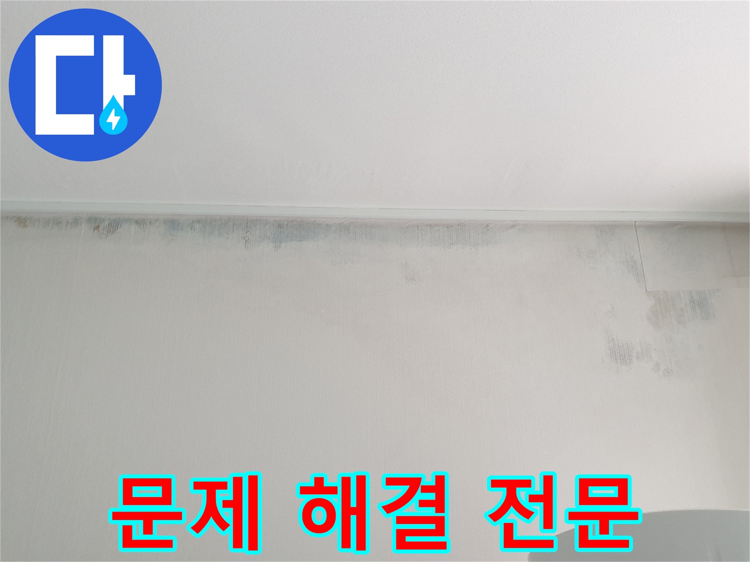 중계동 청구3차 아파트 누수 및 곰팡이 문제 해결