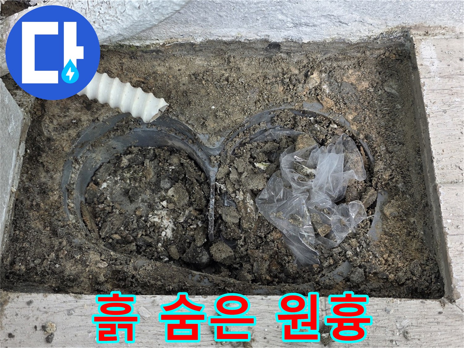 중계동 청구3차 아파트 누수 - 배수구 속 흙, 누수의 숨겨진 원흉!