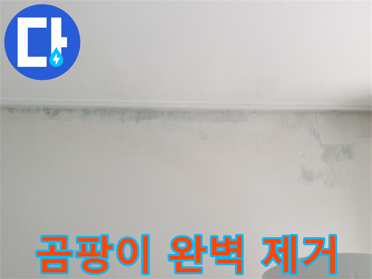 중계동 청구3차 아파트 천장 누수 - 곰팡이 완벽 제거 및 방지
