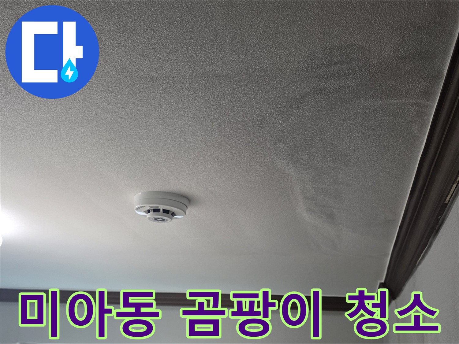 미아동 누수 - 젖은 천장과 곰팡이, 이제 깨끗하게 청소하세요!