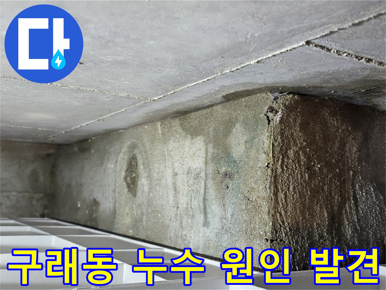 구래동 아파트 화장실 천장 누수 - 비트 공용 배관 연결 부위 누수