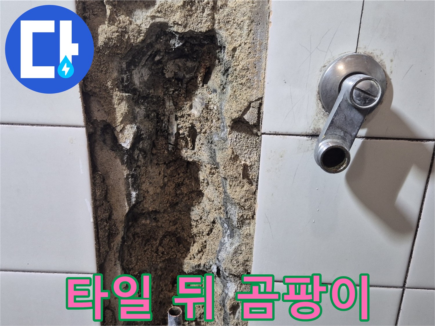 샤워기 벽 속 누수 - 타일 뒤 곰팡이 심각
