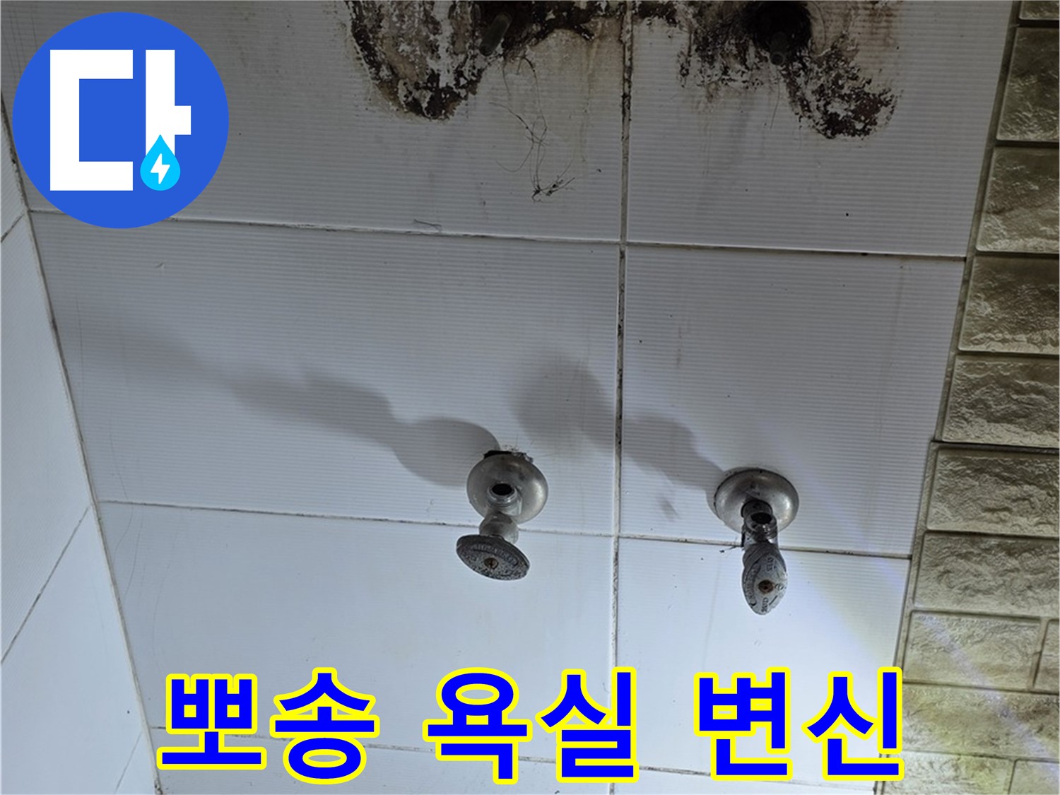노원구 상계동 곰팡이 심한 욕실 - 누수 해결 후 뽀송뽀송하게 변신시켜 드립니다.