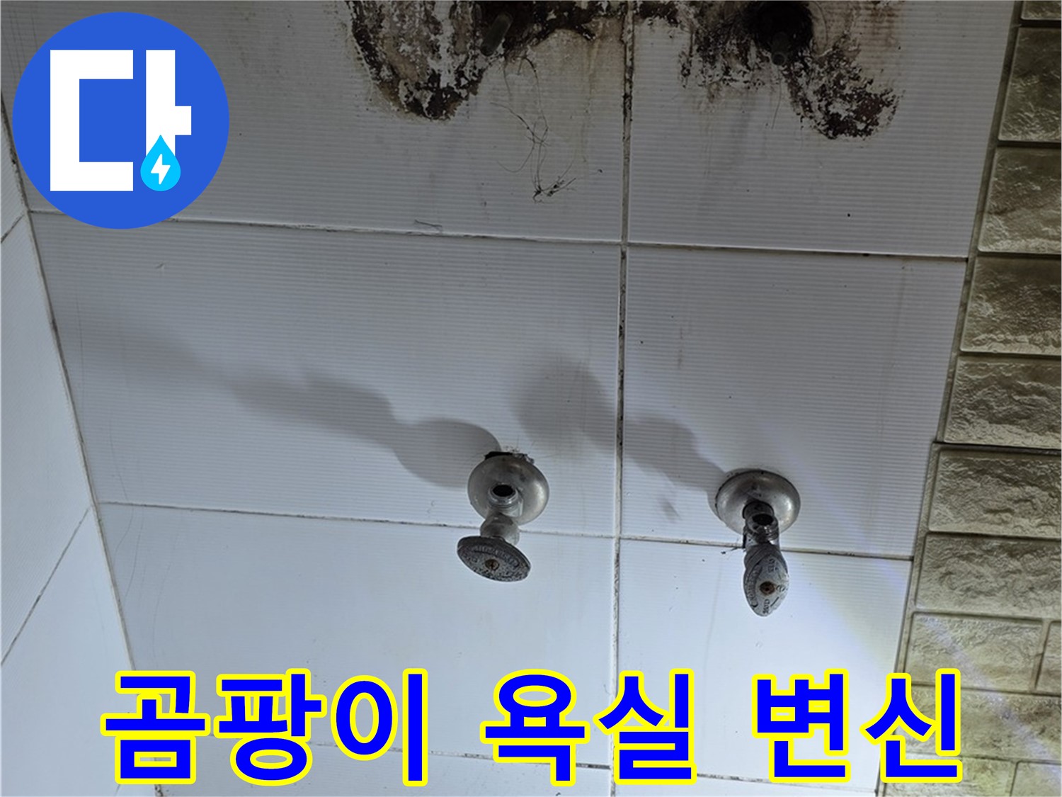 상계동 곰팡이 가득한 욕실 - 누수 문제를 해결하고 깨끗하게 변신시켜 드립니다.