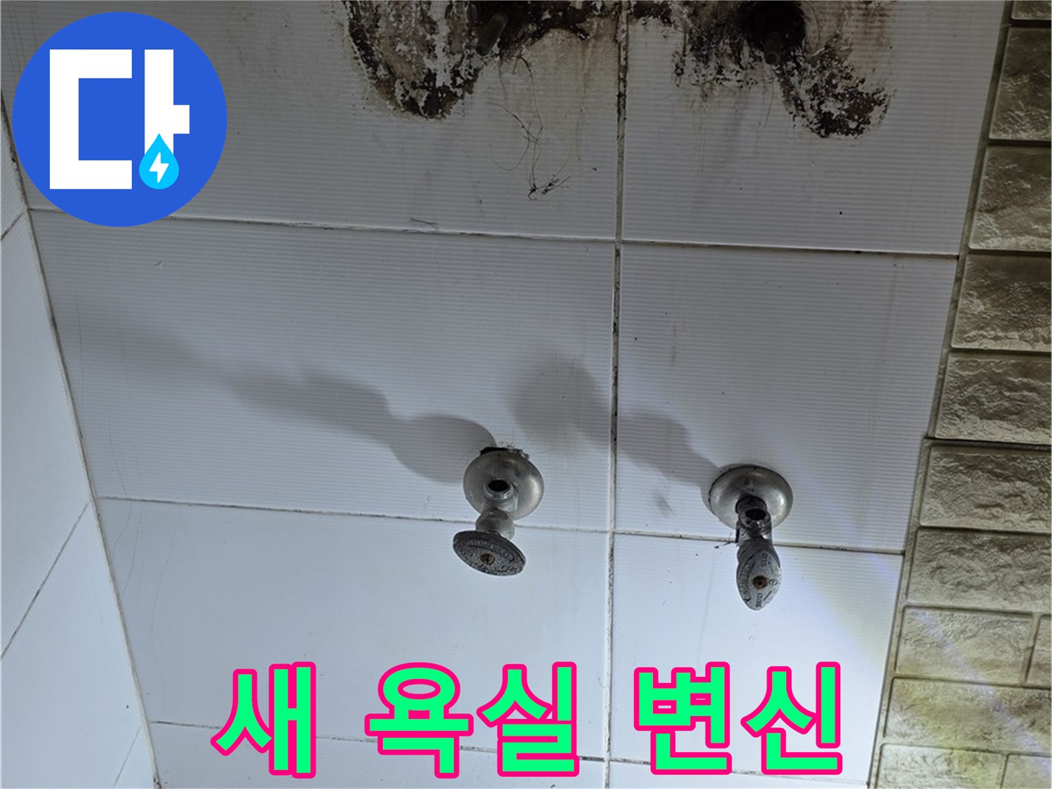 상계동 곰팡이 가득한 욕실 - 누수 문제를 해결하고 새 욕실처럼 깨끗하게 변신시켜 드립니다.