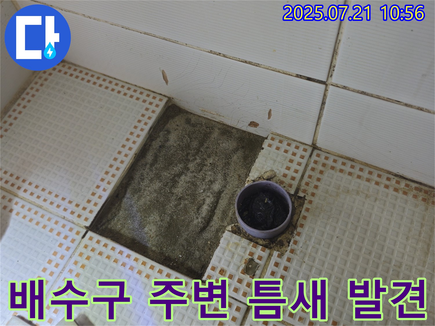 상계동 누수 - 욕실 배수구 주변 타일 제거 후 배수구 주변 틈새 발견