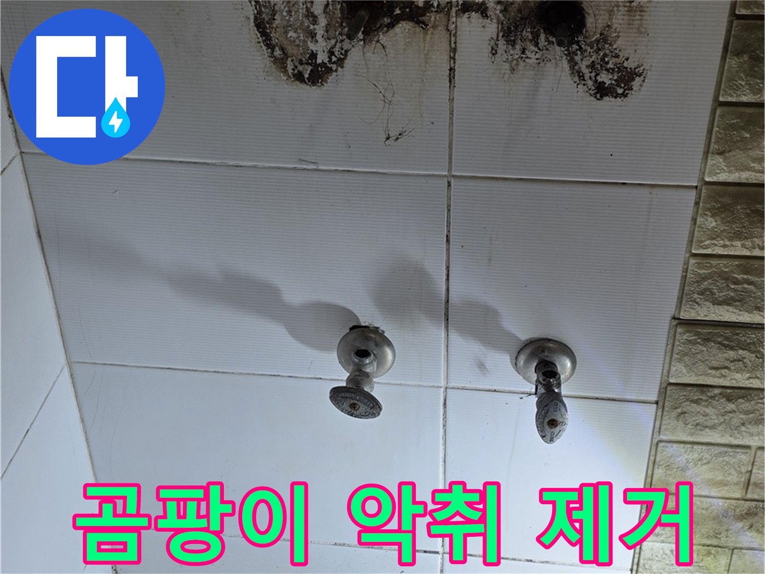 상계동 빌라 욕실 곰팡이 악취 - 누수 원인을 해결하고 곰팡이 냄새까지 완벽하게 제거해 드립니다.