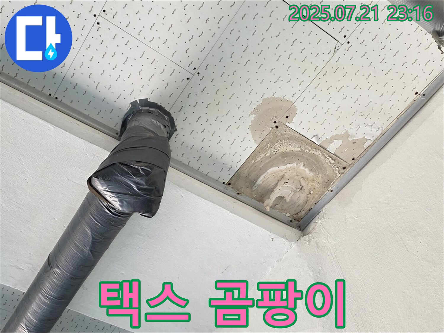 과천 누수 - 천장 택스 곰팡이, 건강 문제 및 곰팡이 제거