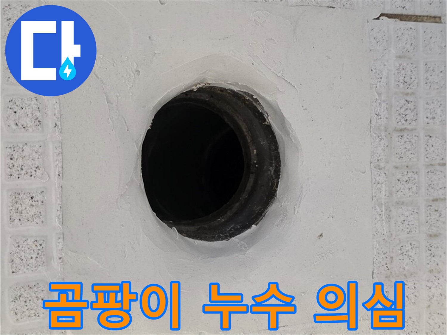 과천 문원동 욕실 곰팡이 - 배수구 주변 곰팡이 발생, 누수 의심 및 점검