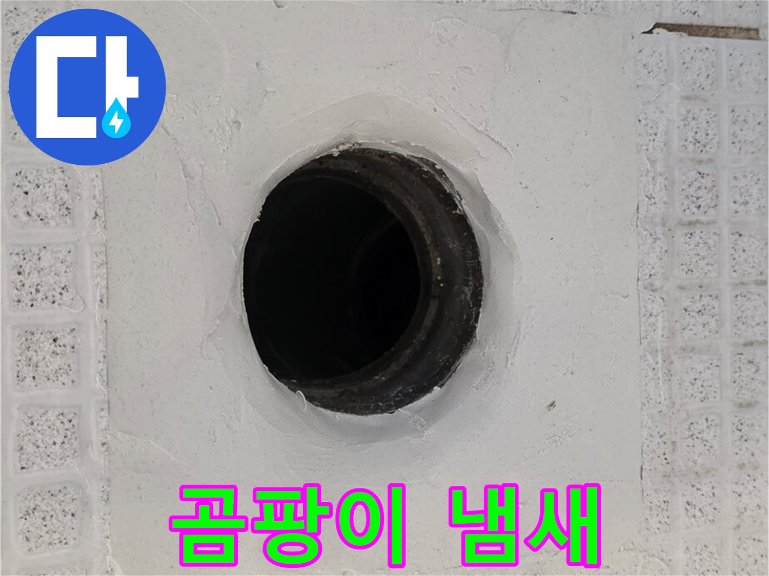 과천 문원동 욕실 누수 - 배수구 주변 곰팡이 냄새, 누수 관련성 점검