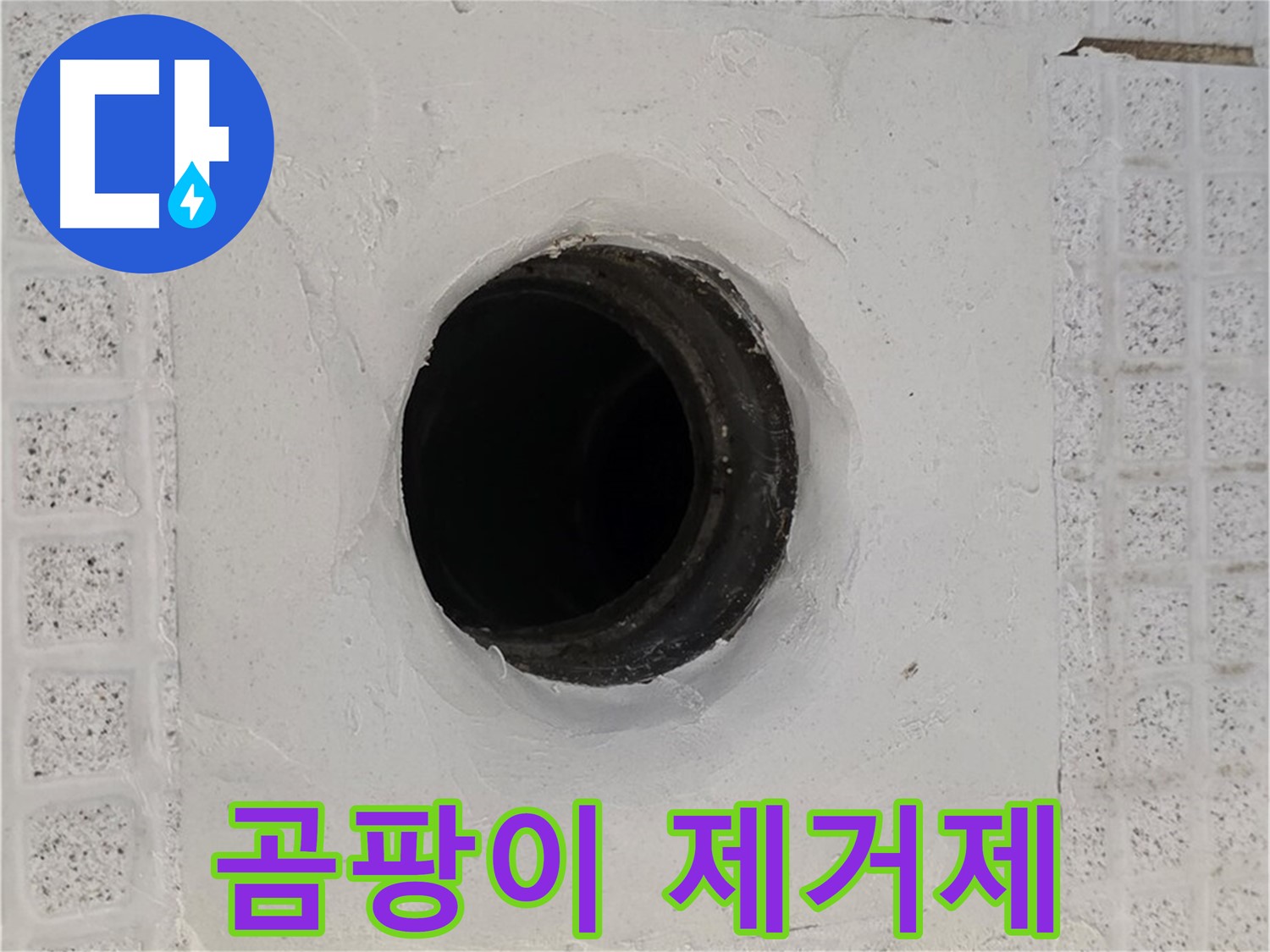 과천 문원동 욕실 누수 - 배수구 주변 곰팡이 제거제 사용, 누수 해결 여부 점검