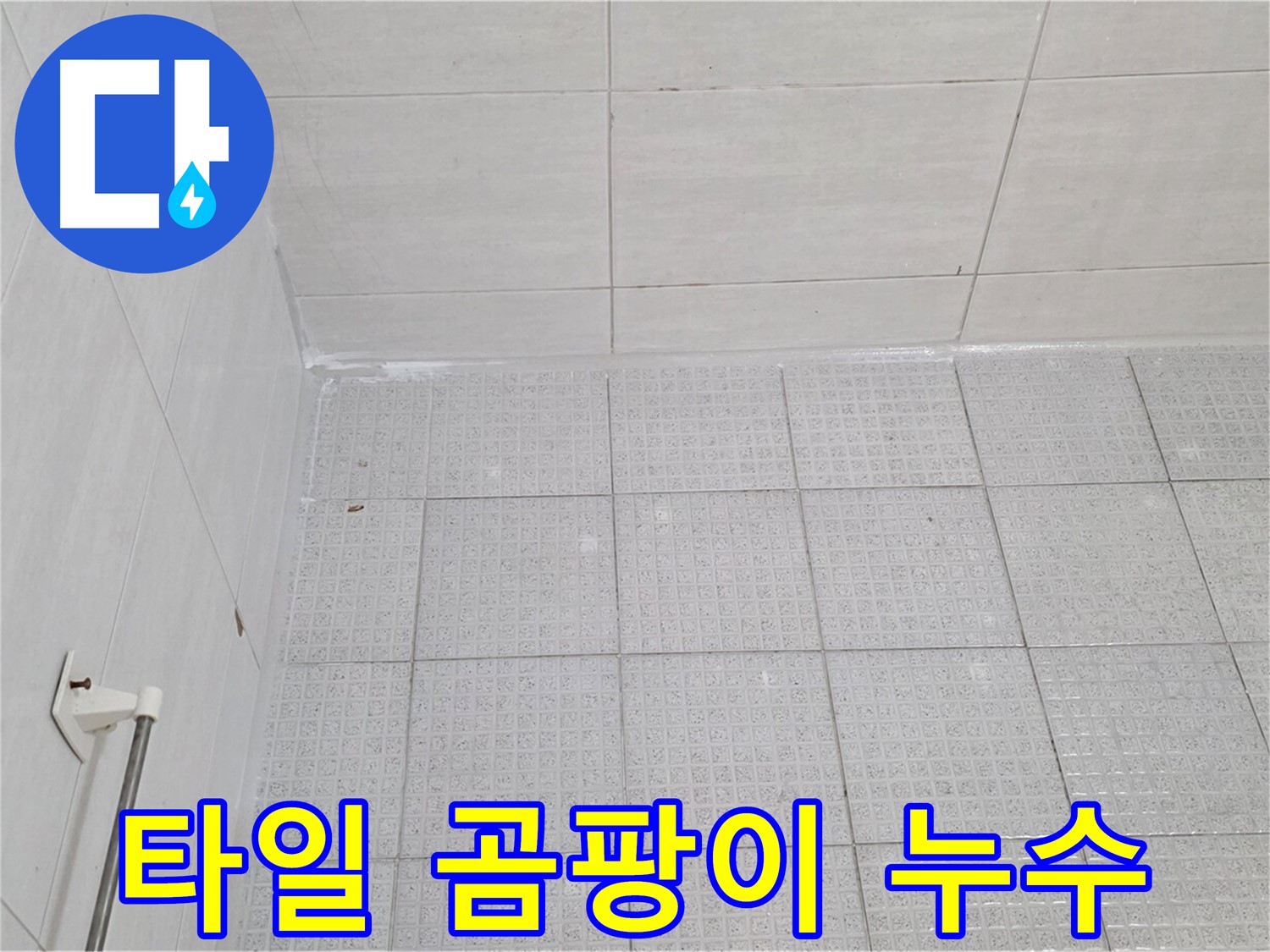 과천 욕실 타일 곰팡이 누수 - 누수 전문가의 꼼꼼한 점검과 완벽한 방수