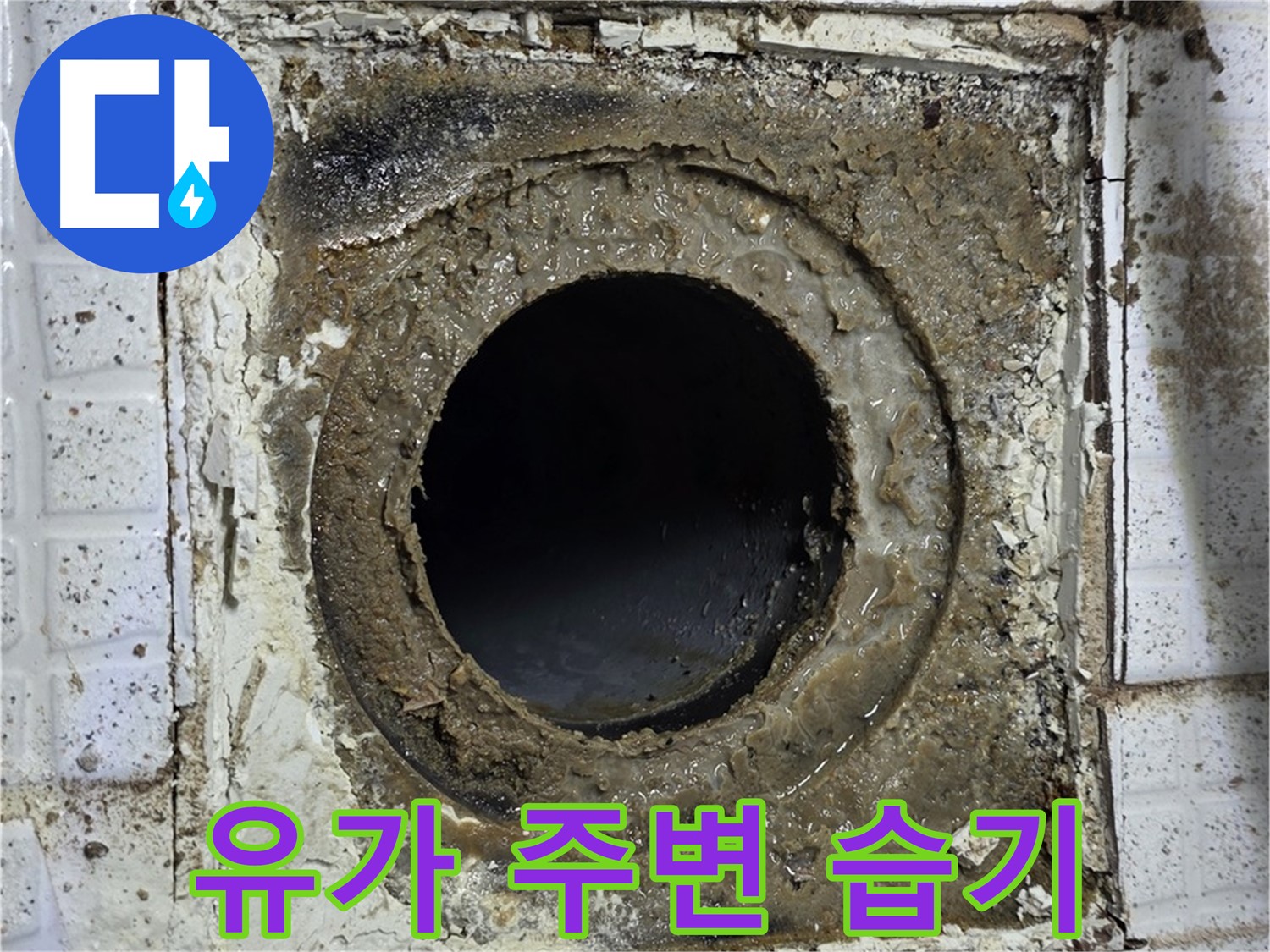 과천시 문원동 - 욕실 유가 주변 습기, 지속적인 누수 의심으로 점검 필수