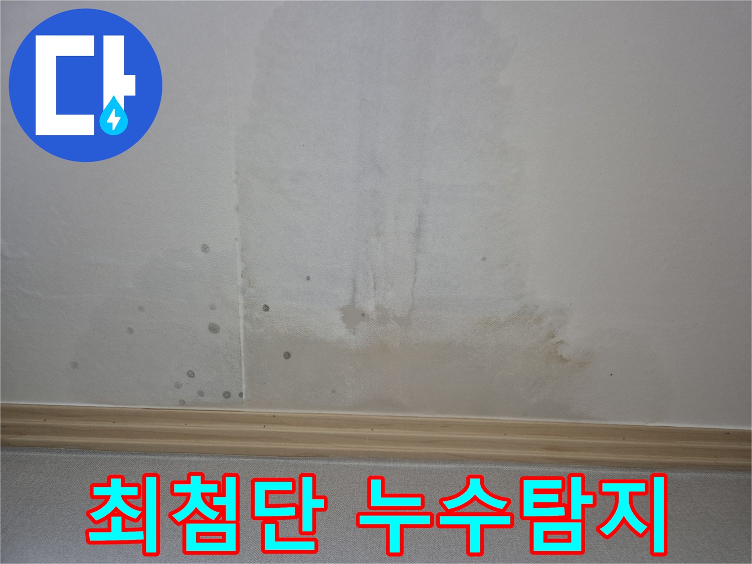 누수 탐지 장비 - 비파괴 방식으로 누수 지점을 찾는 모습