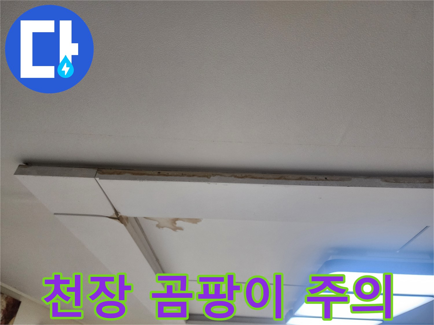 고양시 일산서구 가좌동 누수 - 천장 누수, 곰팡이 번식 주의하세요!
