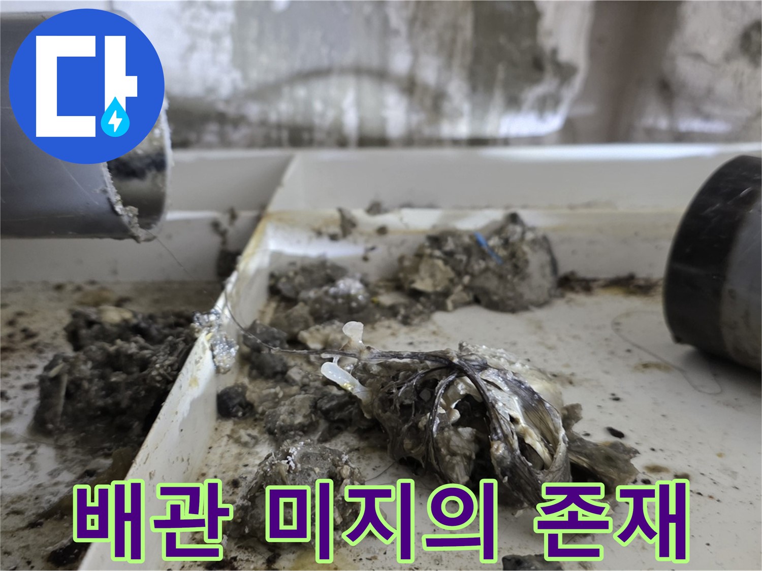 노원구 중계동 라이프청구신동아아파트 - 배관 속 '미지의 존재'와 사투, 누수 해결