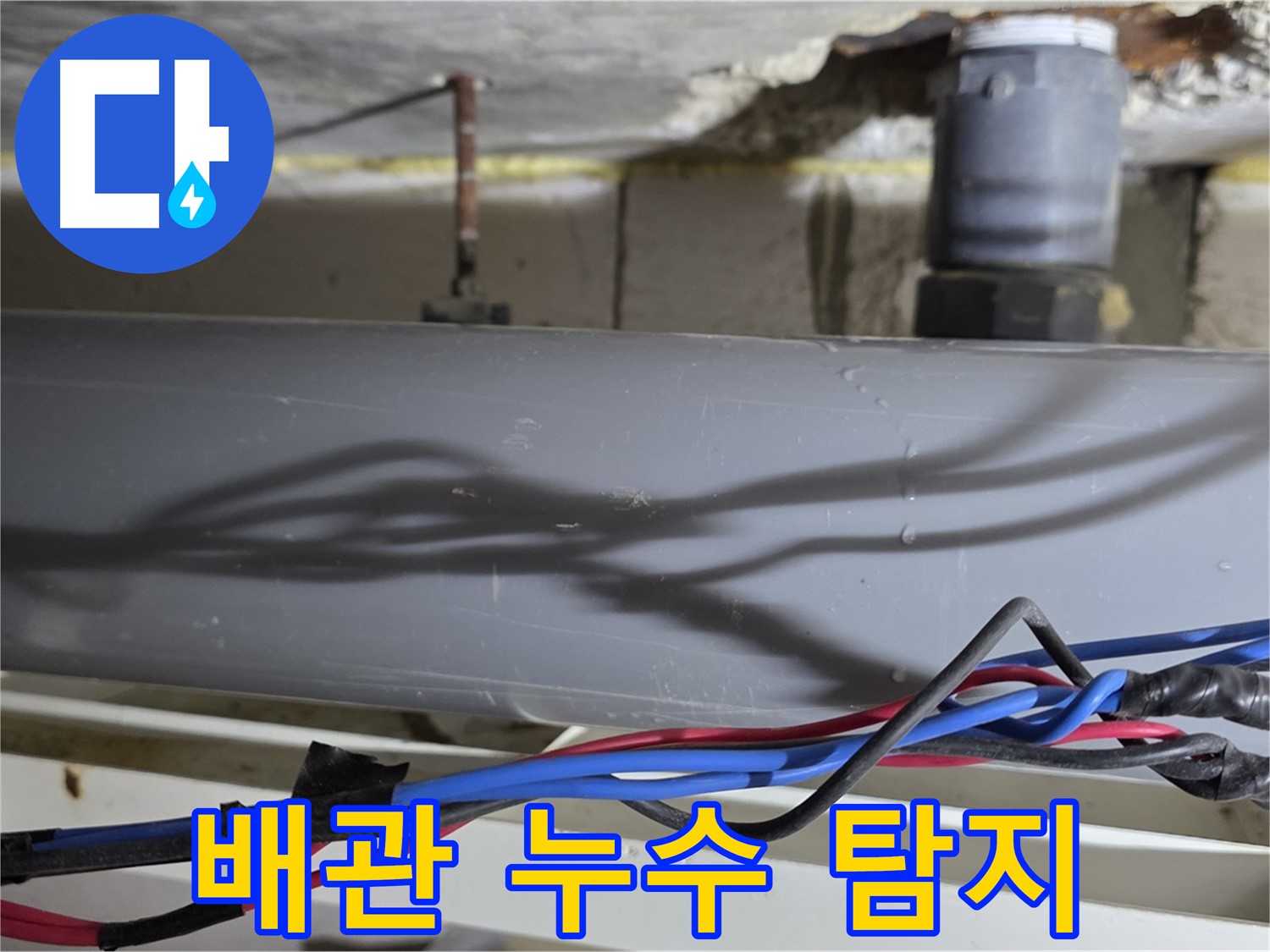 중계동 라이프청구신동아 아파트 배관 누수 탐지 - 결로 진단, 노원구 누수 탐지 전문 기술