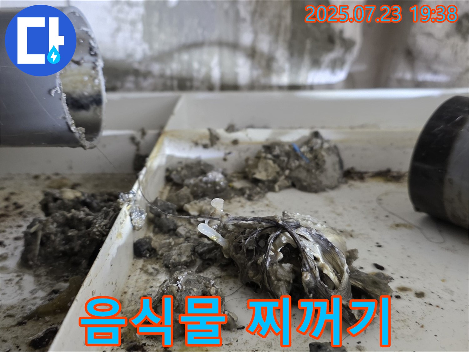 중계동 라이프청구신동아 아파트 - 배수관 속 음식물 찌꺼기, 혐오스러운 비주얼