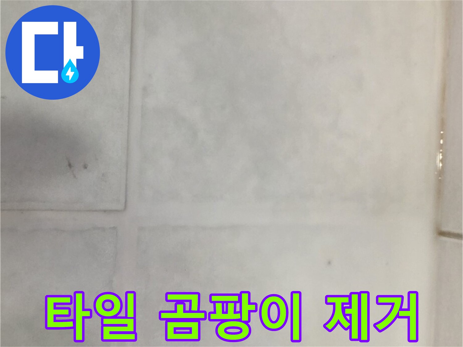 과천 누수 - 타일 곰팡이 번식 누수 해결, 곰팡이 제거 및 방수 실리콘 시공