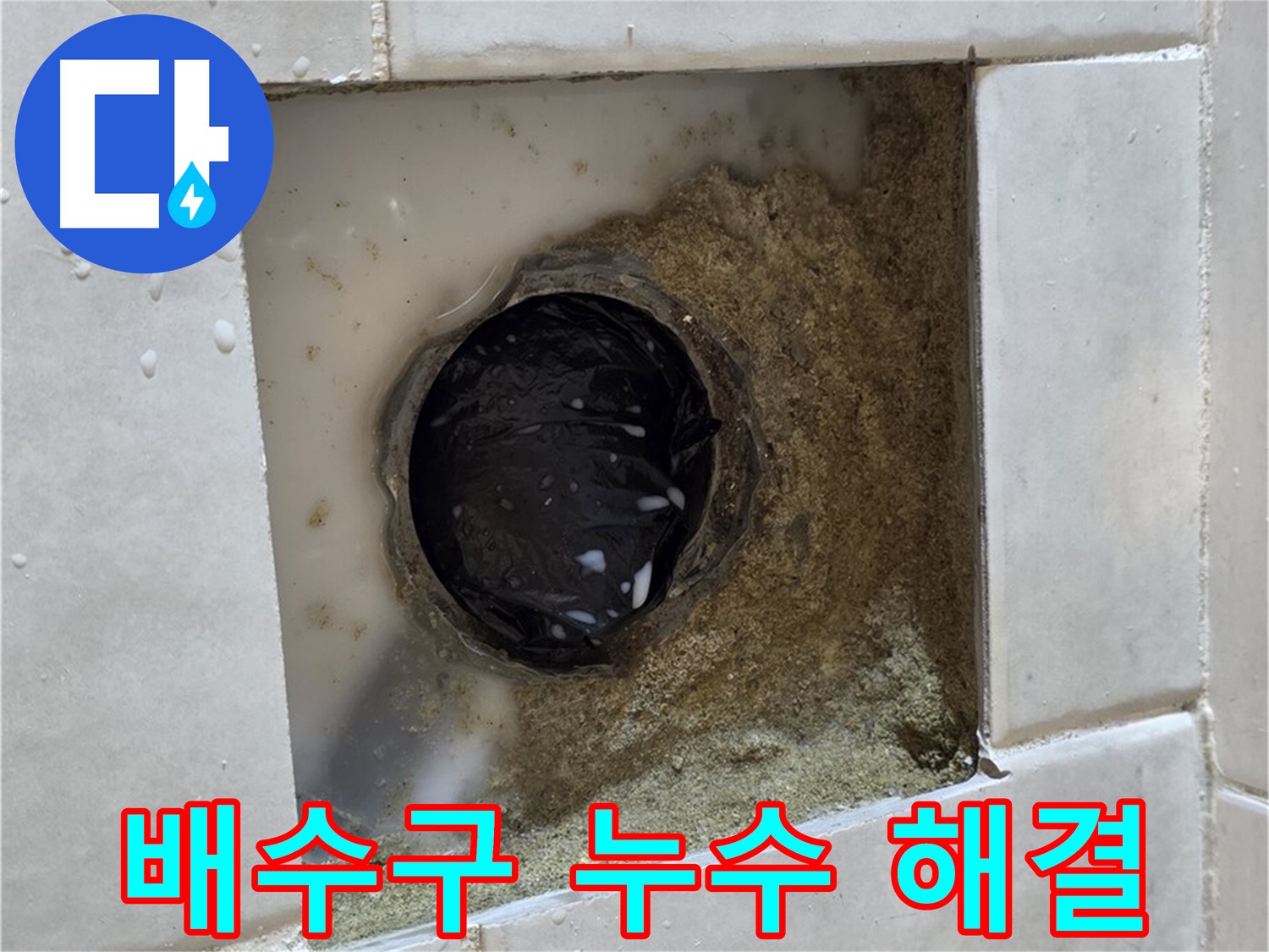 과천 문원동 욕실 배수구 주변 누수 - 젖은 타일 틈새, 숙련된 기술로 완벽 해결