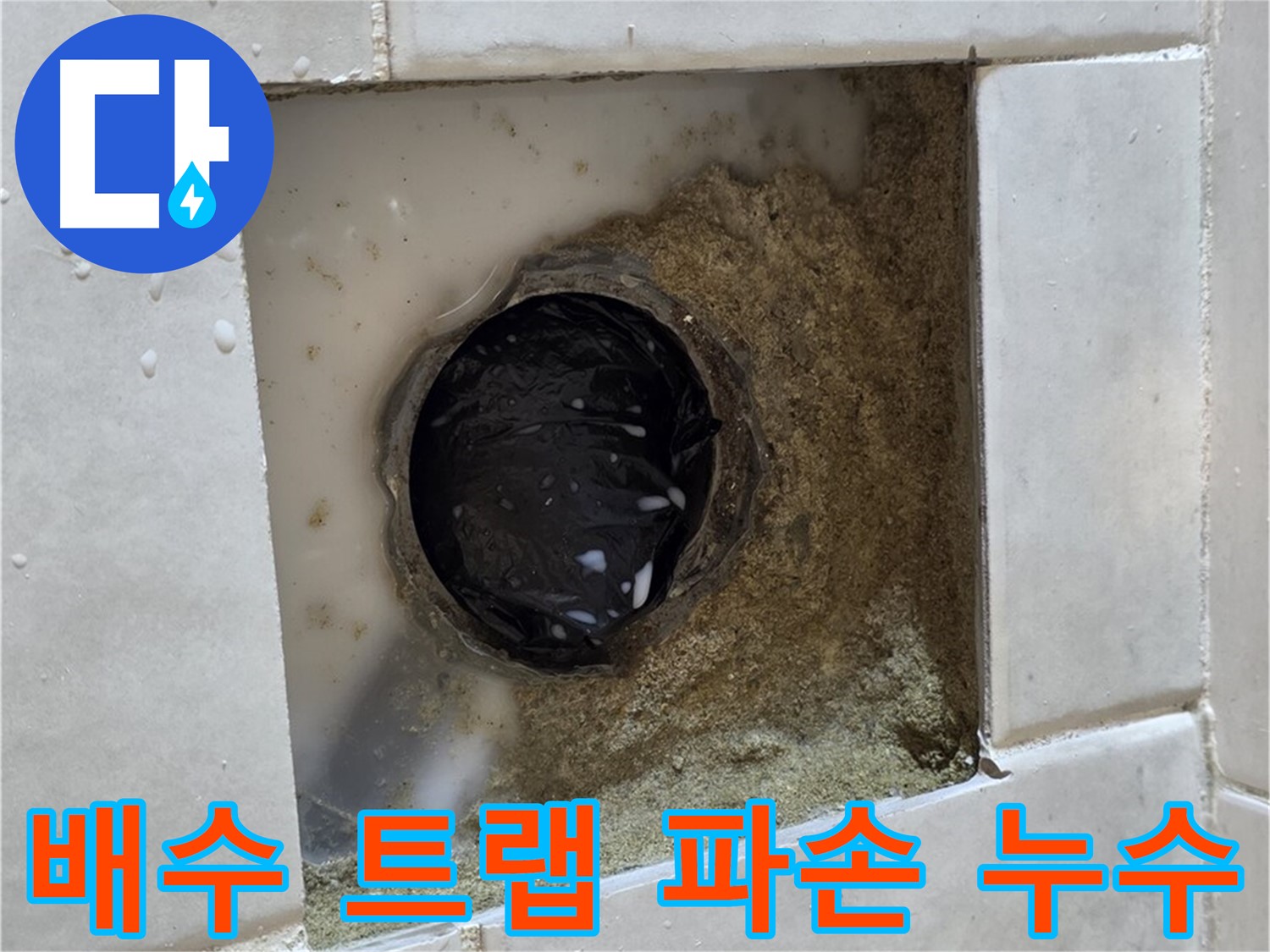 과천 문원동 욕실 하수구 주변 배수 트랩 파손 누수 - 깨진 배수 트랩, 새 트랩으로 완벽하게 교체하고 해결
