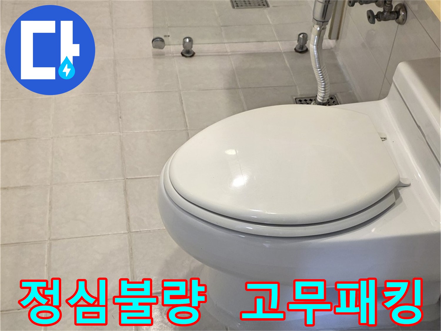 과천 변기 누수 해결 - 정심 재시공 및 낡은 고무 패킹 교체