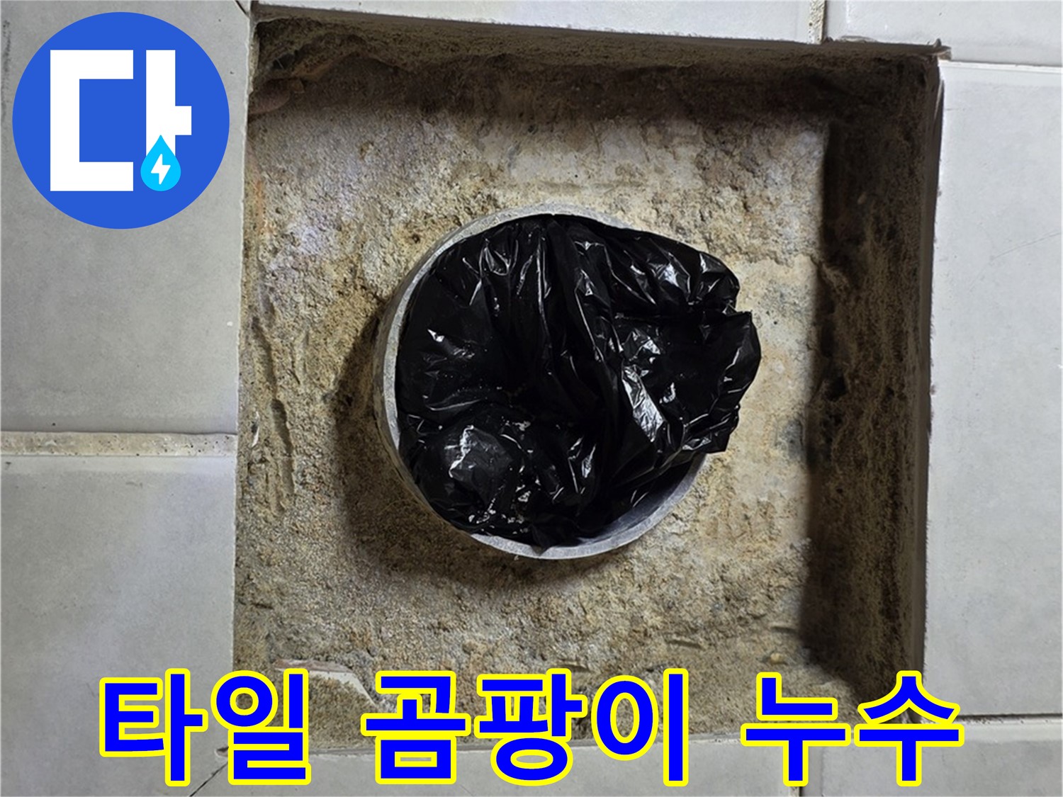 문원동 누수 경고 - 욕실 타일 사이 곰팡이 발생 시 누수 의심