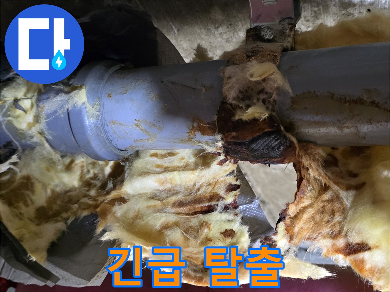 남양주 두산아파트 누수 - 배관 누수로 인해 젖은 단열재에 곰팡이가 슬어 곰팡이 포자가 확산되어 건강 위험! 긴급 탈출이 필요합니다.