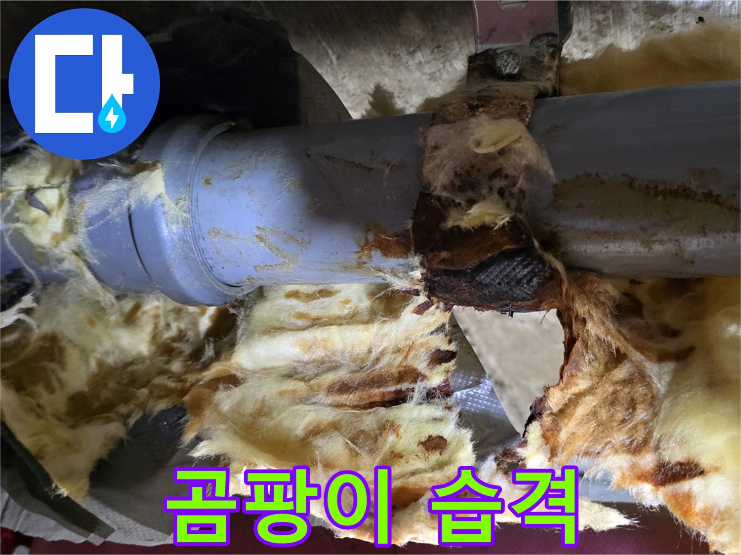 남양주 화도읍 두산아파트 누수 현장 - 배관 누수로 인해 젖은 단열재와 곰팡이가 심각하게 발생했습니다.