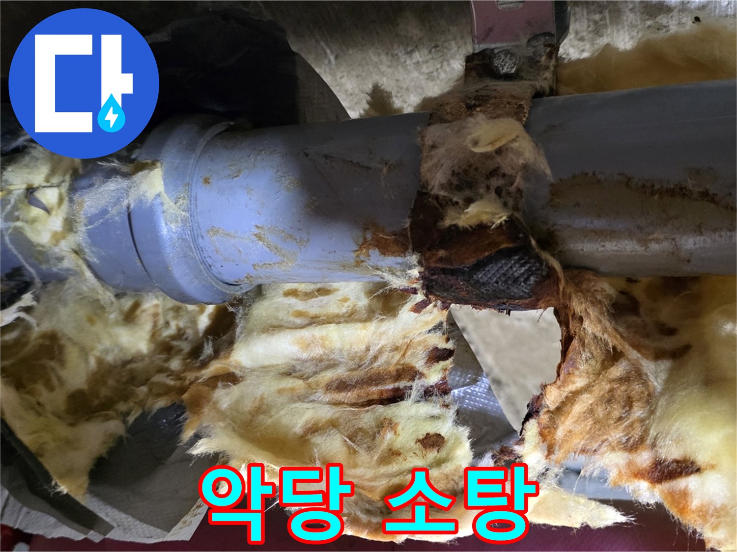 두산아파트 누수 - 낡은 배관, 곰팡이, 젖은 단열재 3가지 악당을 완전 소탕했습니다.