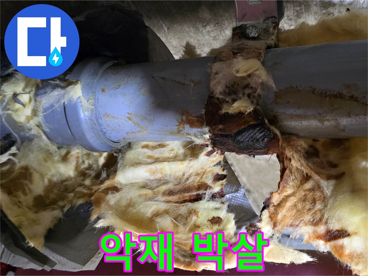 두산아파트 누수 - 낡은 배관, 곰팡이, 젖은 단열재 3가지 악재를 완전 박살냈습니다.