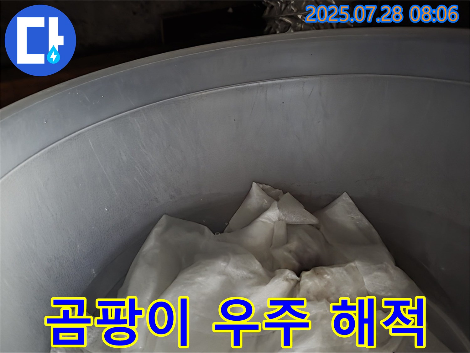 빗물 누수 - 양동이 속 젖은 휴지, 곰팡이 왕국 우주 해적단 결성 준비! 이제 전문가가 결성을 막습니다.