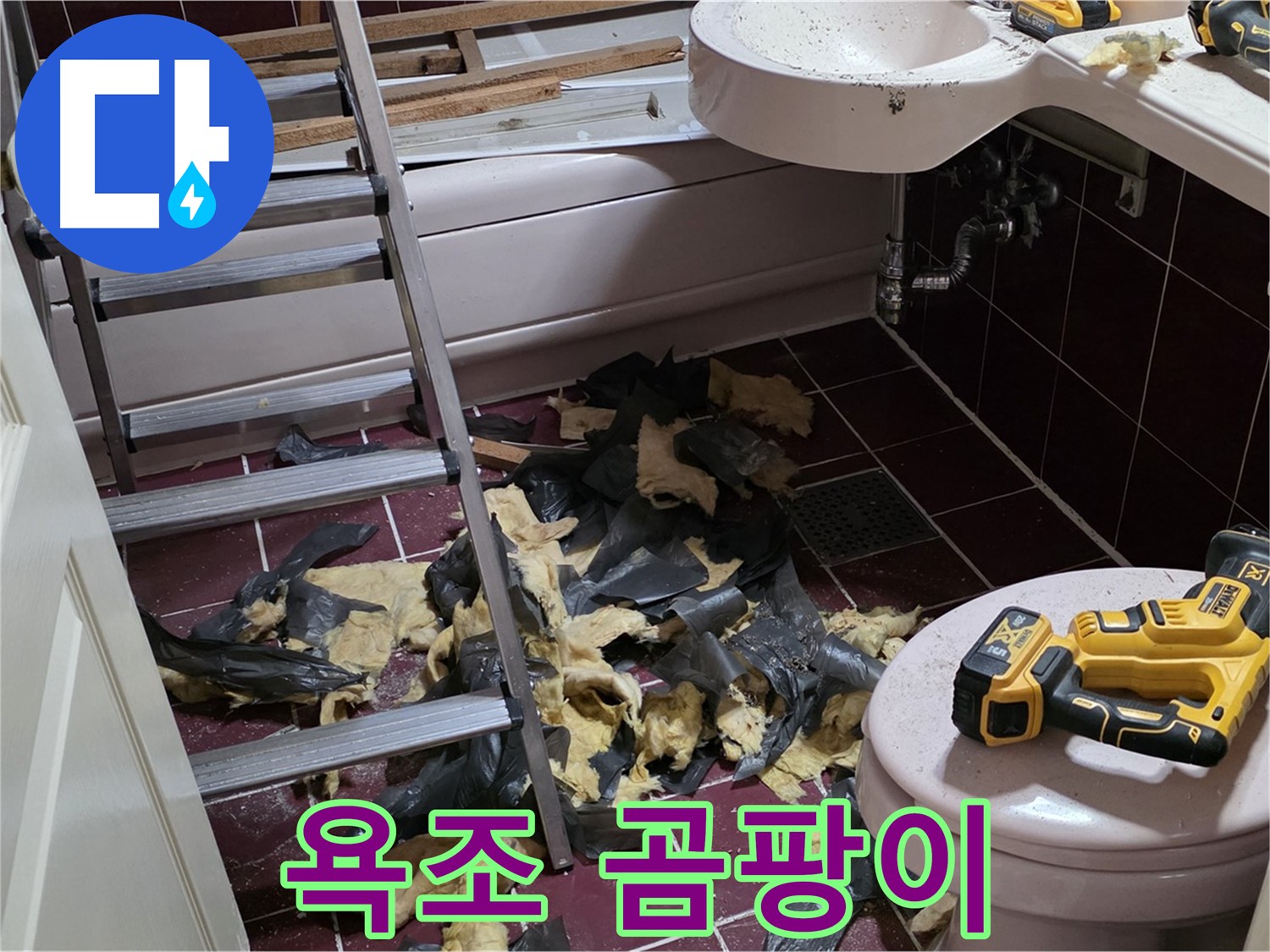 화도읍 두산아파트 욕실 낡은 욕조 철거 후 곰팡이 세상과 조우