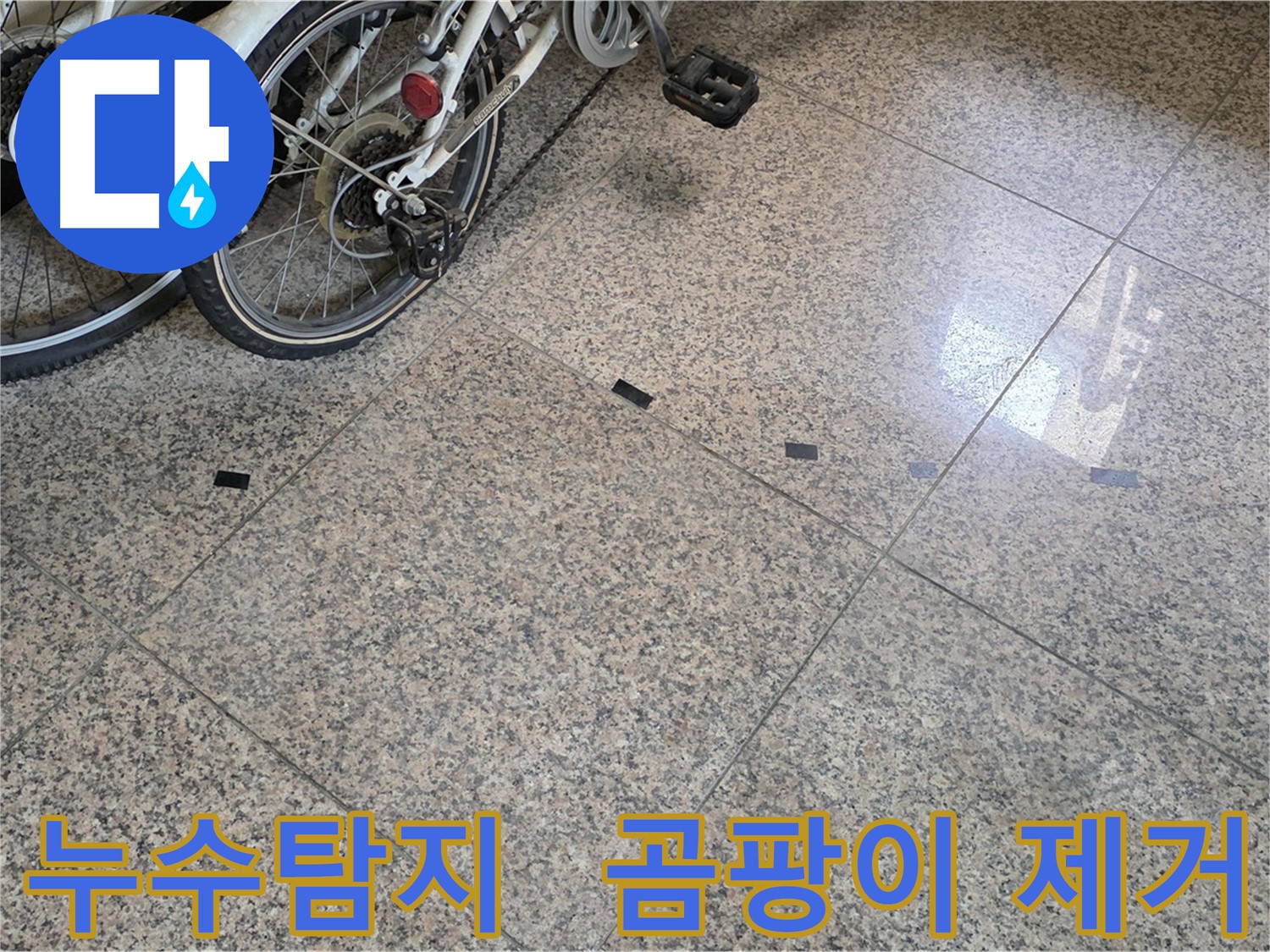 덕양구 누수 - 타일 틈새 검은 곰팡이, 누수탐지 후 완벽 제거