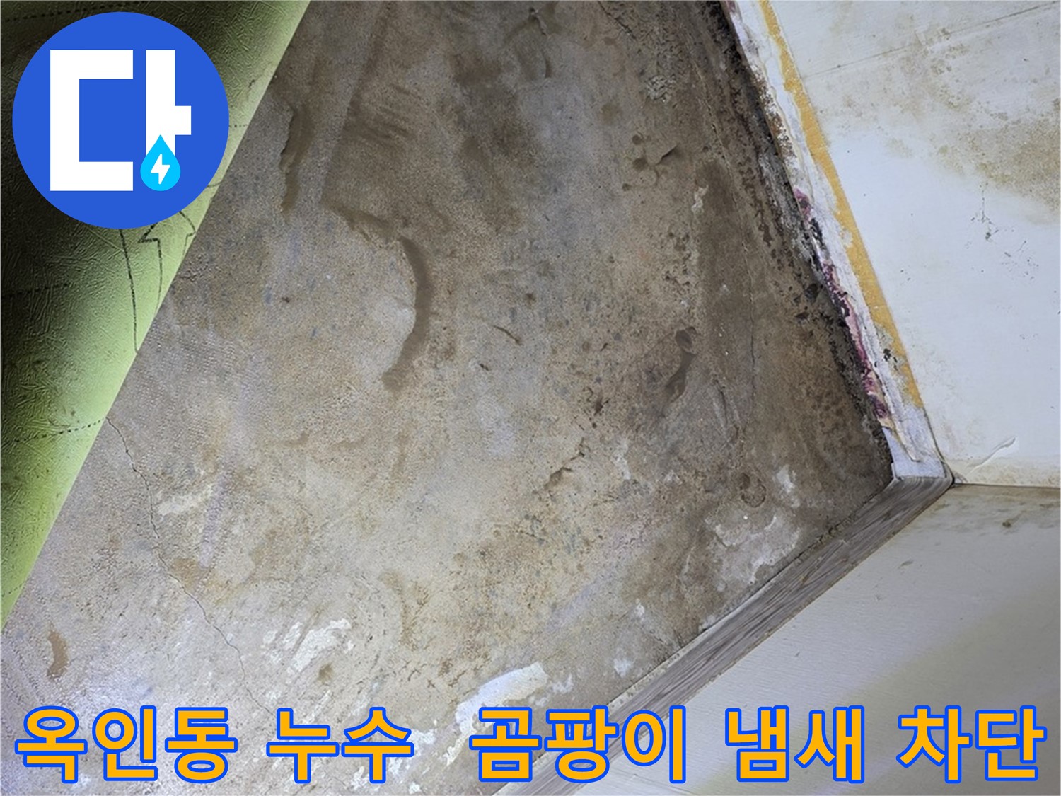 장판 밑 곰팡이 냄새 - 옥인동 냄새 원인 완벽 차단