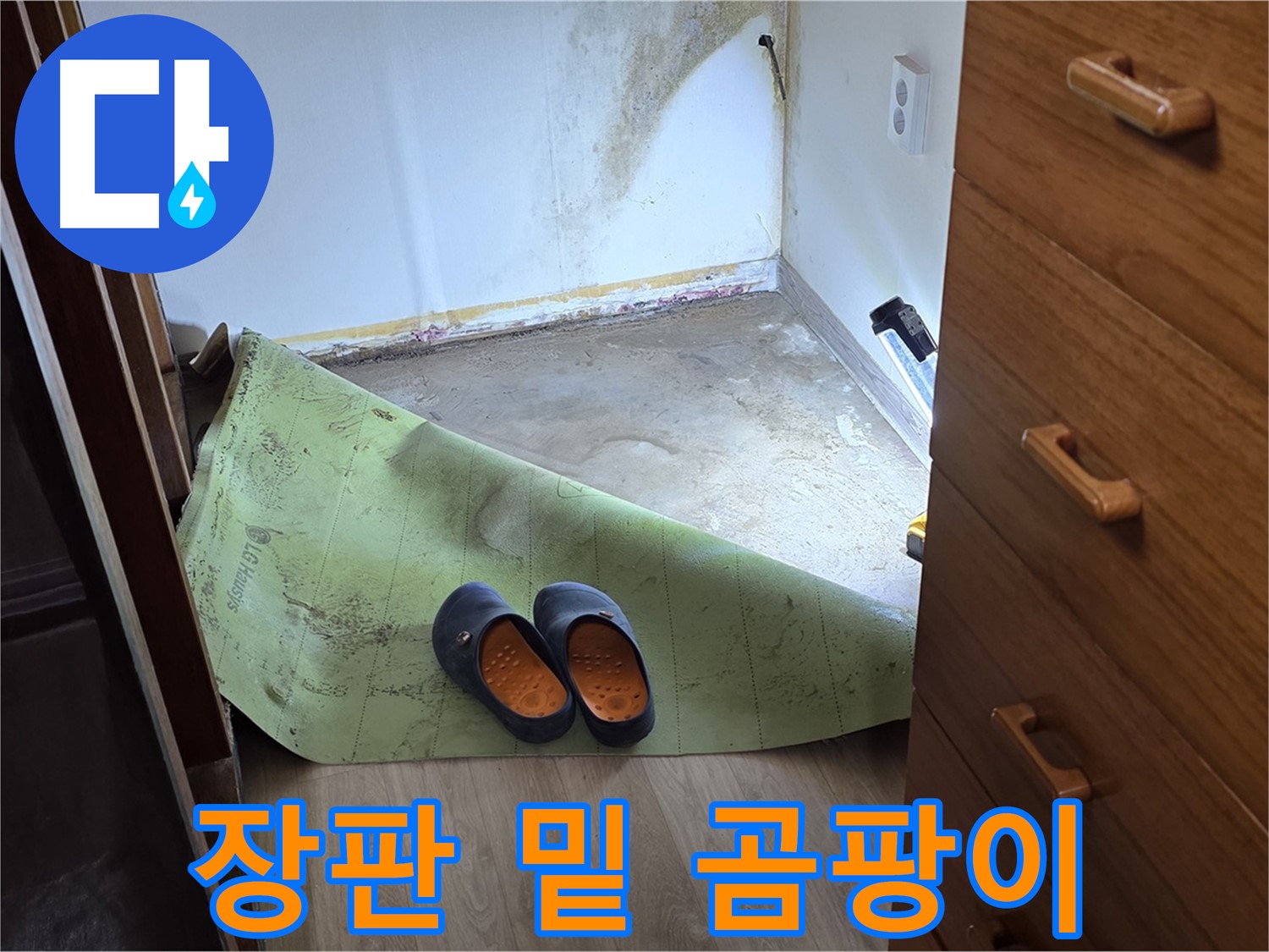 옥인동 주택 - 장판 밑 곰팡이 - 누수 심각