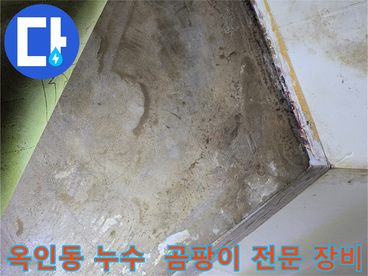 장판 밑 곰팡이 - 옥인동 곰팡이 제거 전문 장비